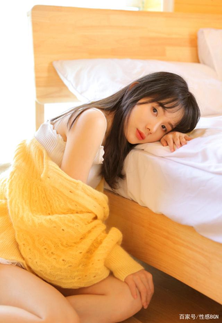 91免费版视频主界面展示